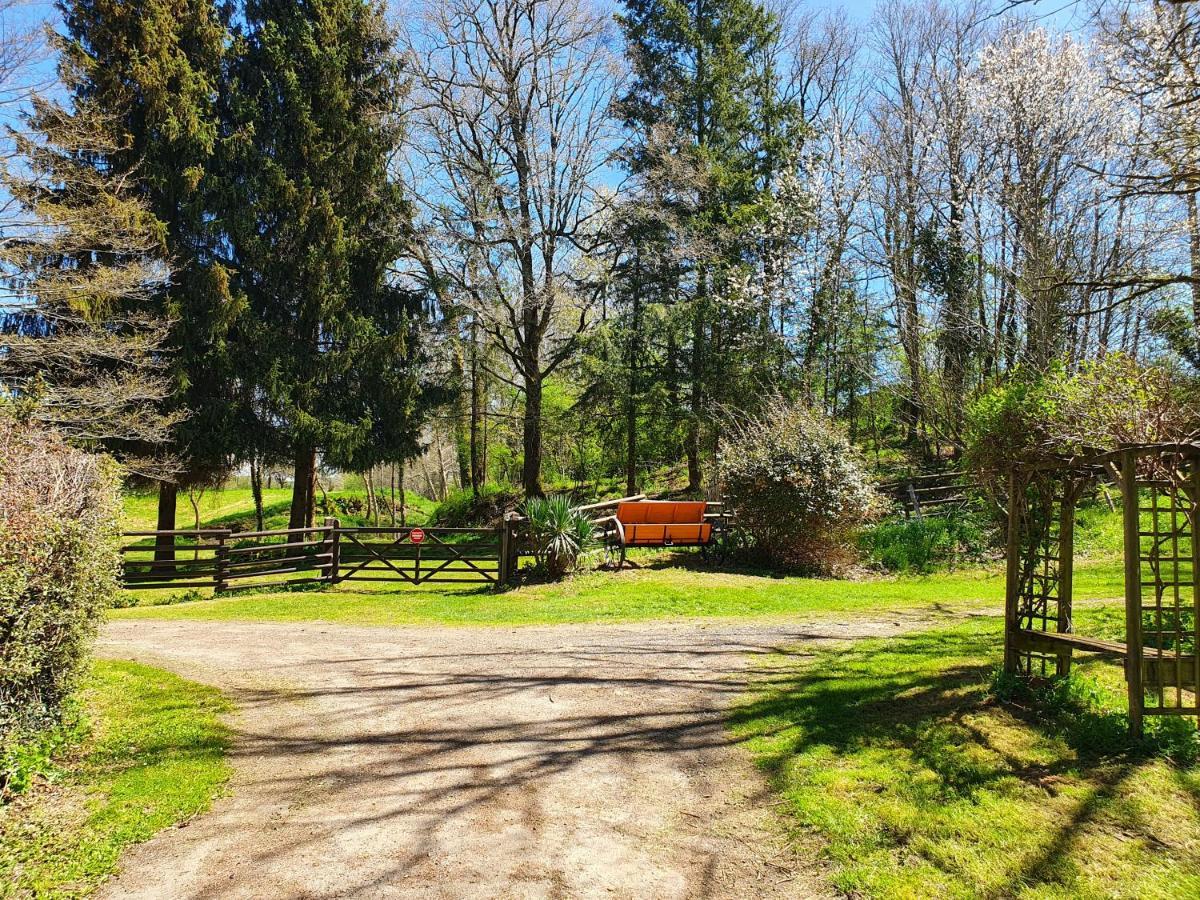 Luxury Safari Tents At Moulin Du Pommier Glamping & Camping Saulgond Exteriör bild