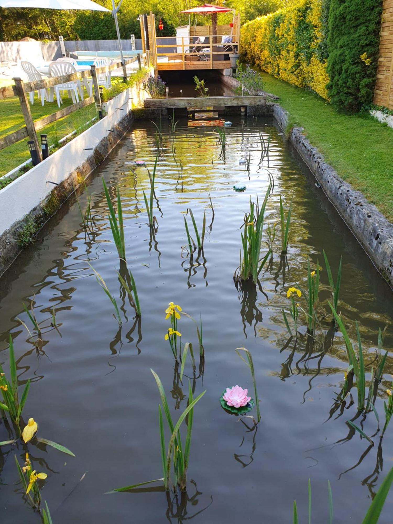Luxury Safari Tents At Moulin Du Pommier Glamping & Camping Saulgond Exteriör bild